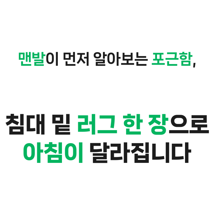 블링앤코 인테리어 러그 소형 사계절러그 거실 침실 카페트쿠폰할인 상세 이미지 1