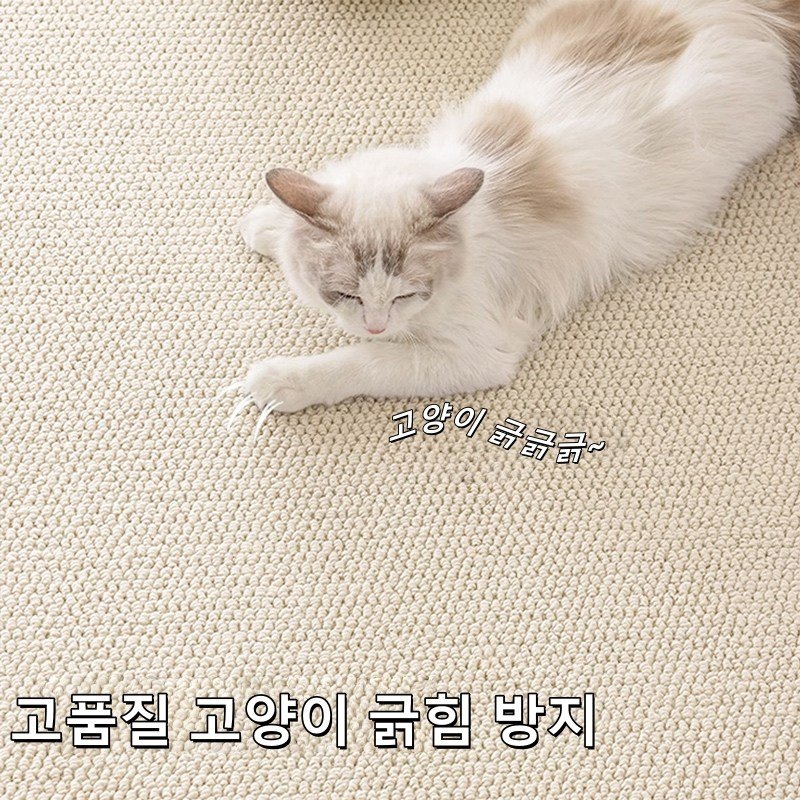 물세탁 거실 카페트 방수 카페트 파스텔 사계절 소프트 러그 검은색 분말 낙하 없음 먼지없는할인 상세 이미지 2