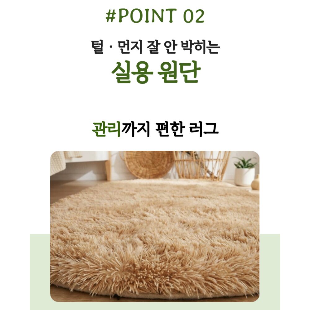 블링앤코 인테리어 러그 소형 사계절러그 거실 침실 카페트쿠폰할인 상세 이미지 2