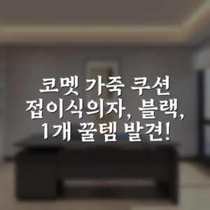 “코멧 가죽 쿠션 접이식의자, 블랙, 1개 꿀템 발견!”