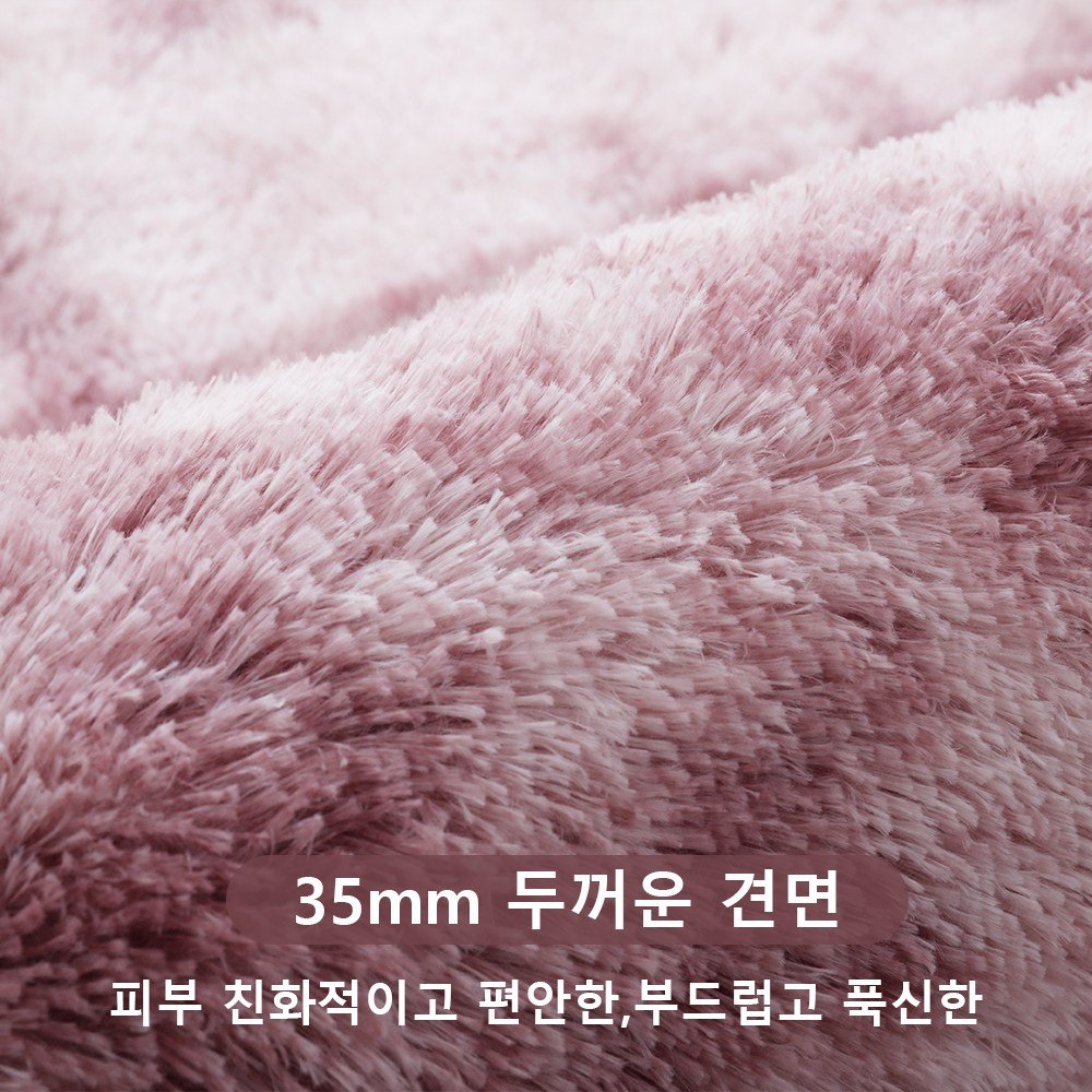 Unique Haven 인룸 소프트 러그 솜털 거실카페트 모던 방바닥 침실러그할인· 6일 남음 상세 이미지 2