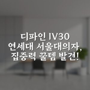 “디파인 IV30 연세대 서울대의자, 집중력 꿀템 발견!”
